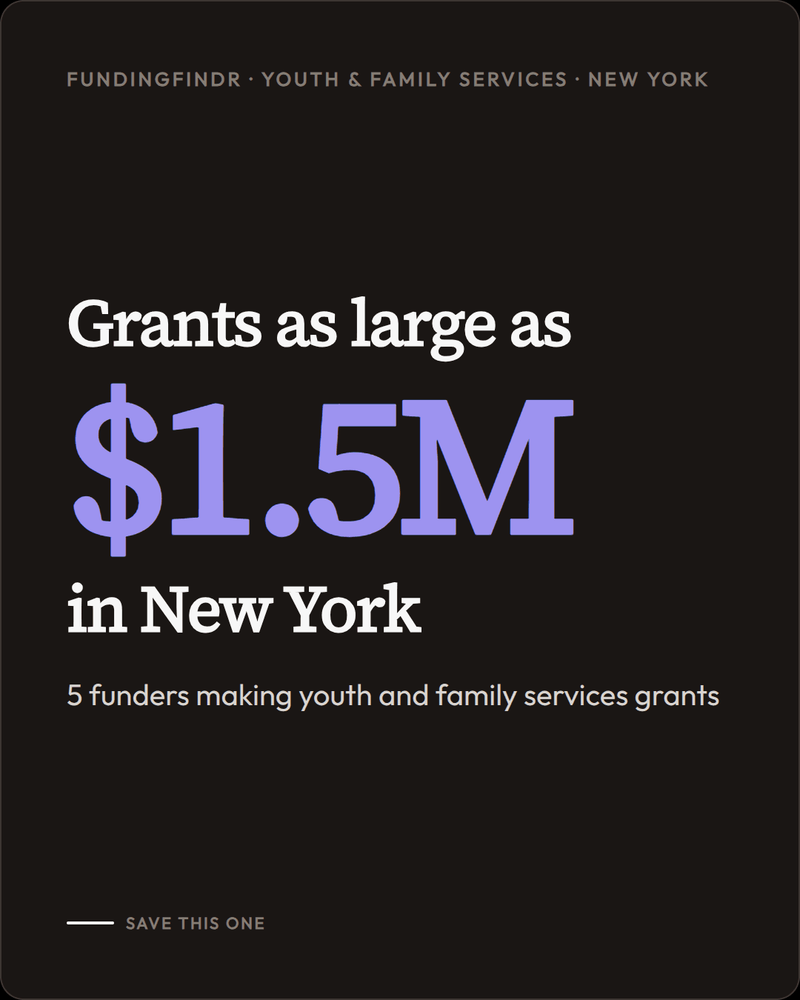 Who funds Youth & Family Services in New York
